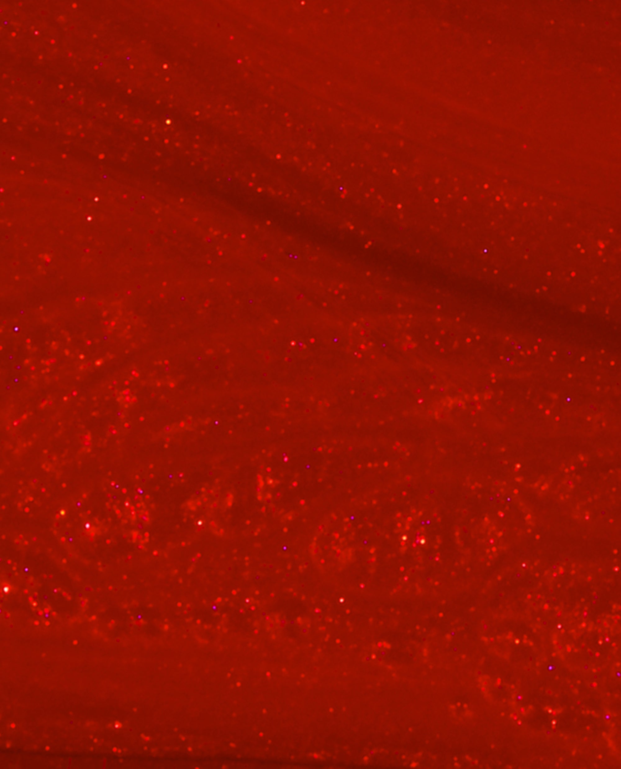 OPI Gimme a Lido Kiss Red Gel Nail Polish Brush Swatch